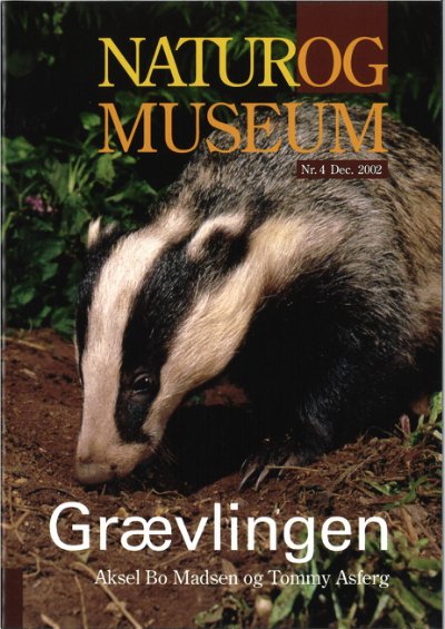 Grævlingen